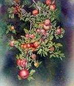 A painting of apples hanging from the tree