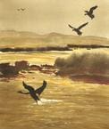 A painting of birds flying over the water.