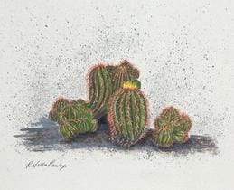 A painting of four cactus plants on the ground.