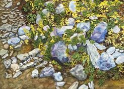 A painting of rocks and plants on the ground